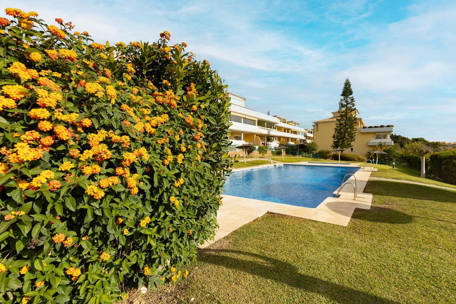 Mimosa Golf & Appartamento Marbella